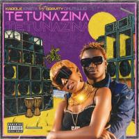 Tetunazina Lyrics - Karole Kasita ft. Gravity omutujju