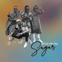 Sugar Lyrics - B2C ft. DJ Pius