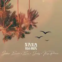 NANA (Remix) - Joshua Baraka ft. Joeboy, King Promise, BIEN