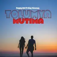 Tolumya Mutima - Dappy 256 ft. King Mowzey