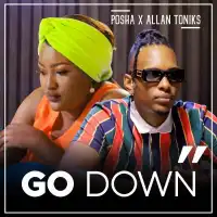 Go Down - Allan Toniks ft. Posha