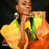 Merry Christmas - Naira Ali 