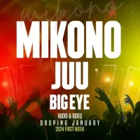 Mikono Juu - Big Eye 