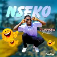 Nseko - Shaba Poundz 