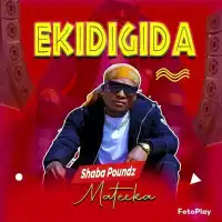 Ekidigida - Shaba Poundz 