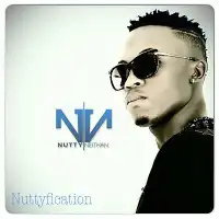 Nuttyfication - Nutty Neithan