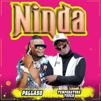 Ninda - Temperature Touch ft. Pallaso