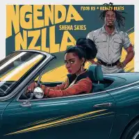 Ngenda Nzila - Shena Skies 