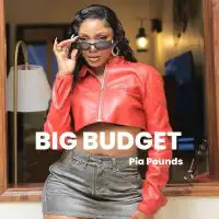 Big Budget - Pia Pounds 