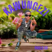 Kawungezi Lyrics - Paslo UG 