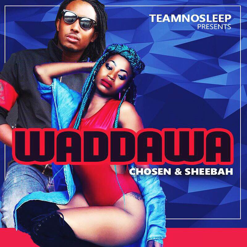 sheebah-waddawa-album-cover