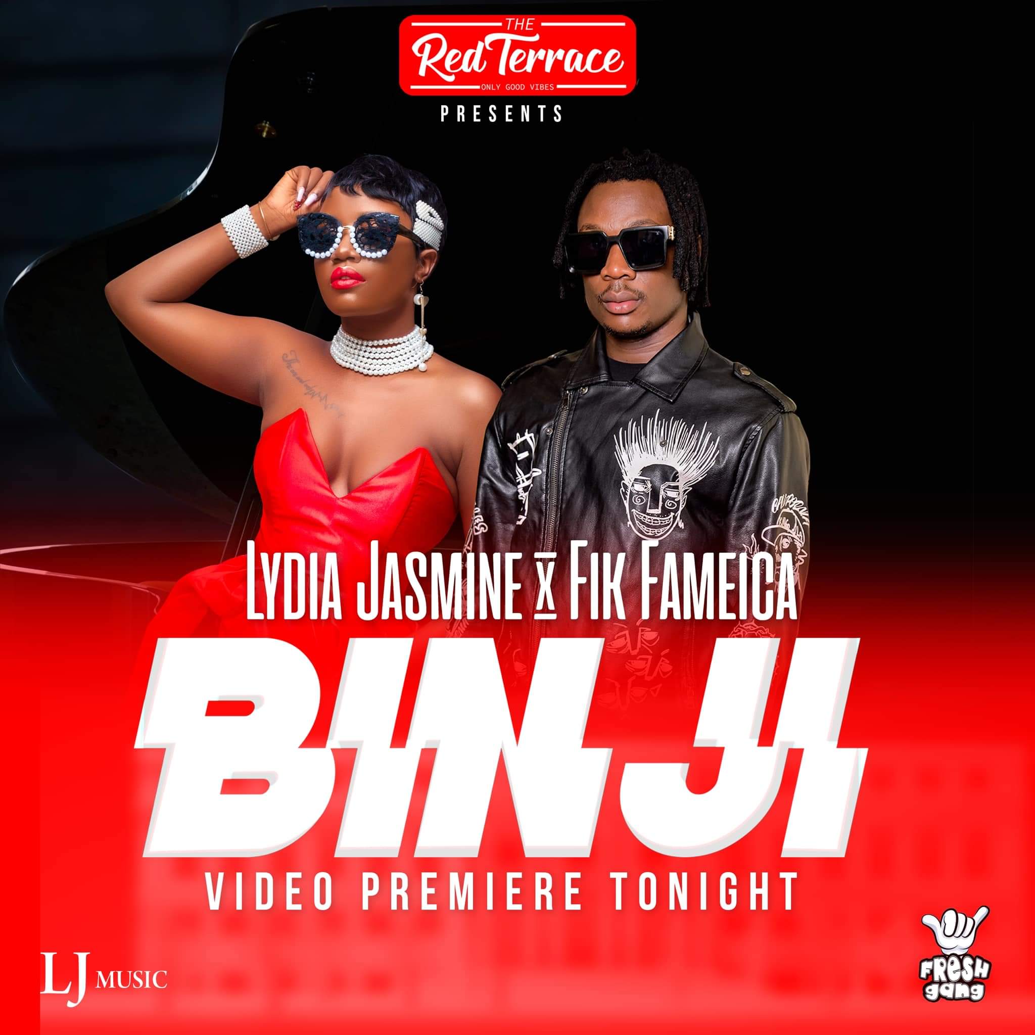 fik-fameica-binji-album-cover