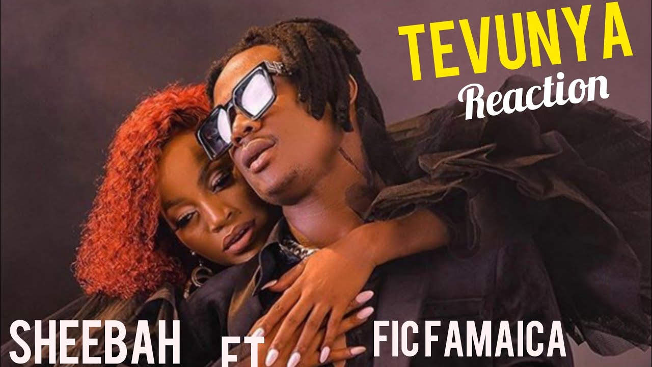 fik-fameica-tevunya-album-cover