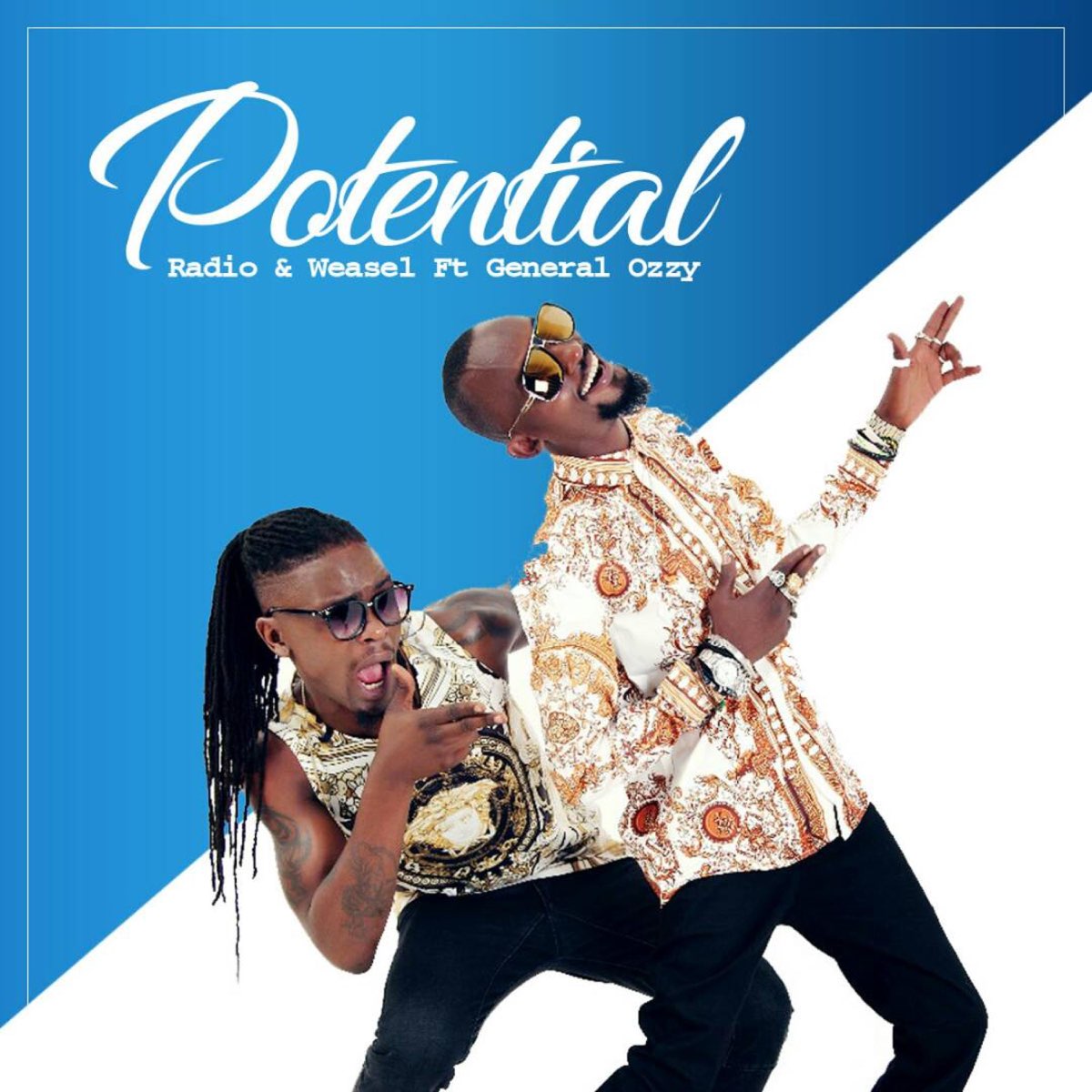 radio-weasel-potential-album-cover