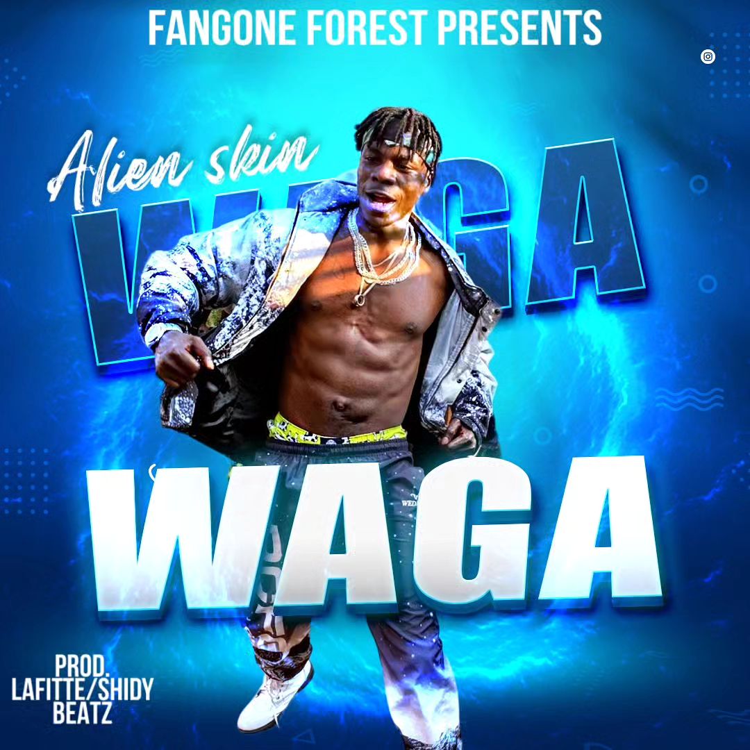 alien-skin-waga-waga-album-cover