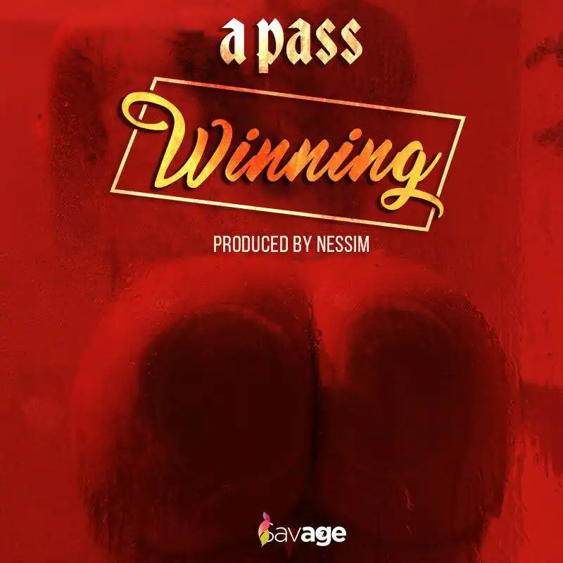 a-pass-winning-album-cover