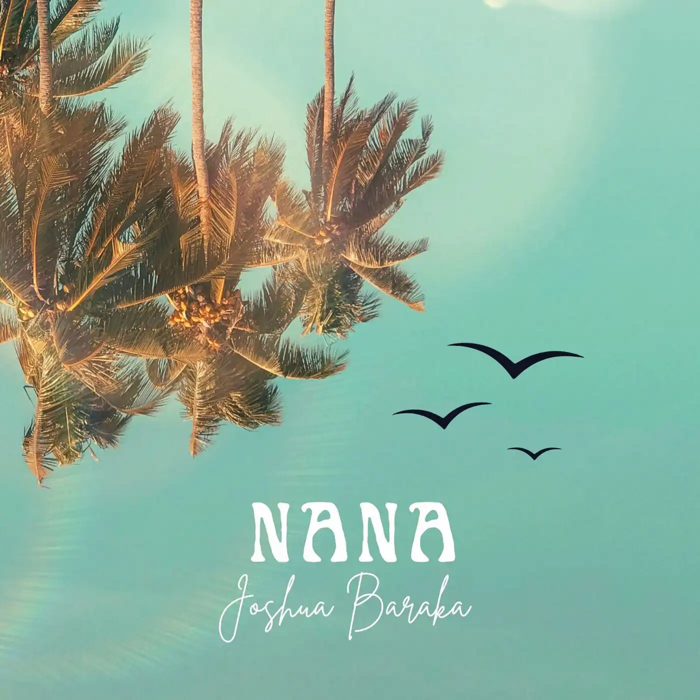 joshua-baraka-nana-album-cover