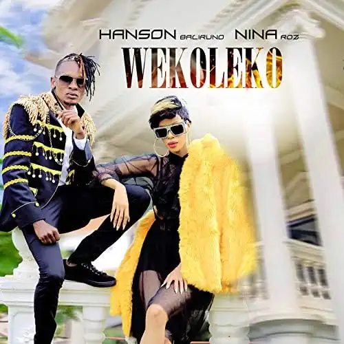 nina-roz-wekoleko-album-cover