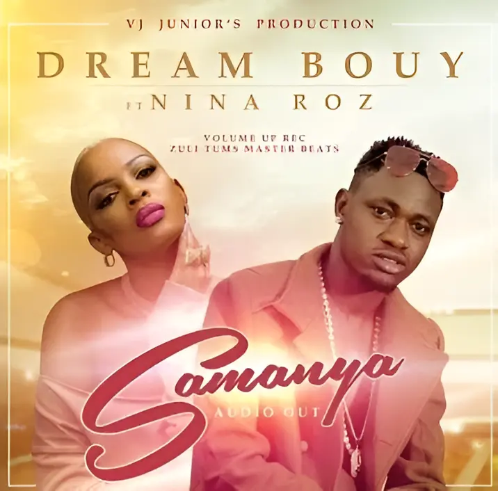 nina-roz-nvaako-album-cover