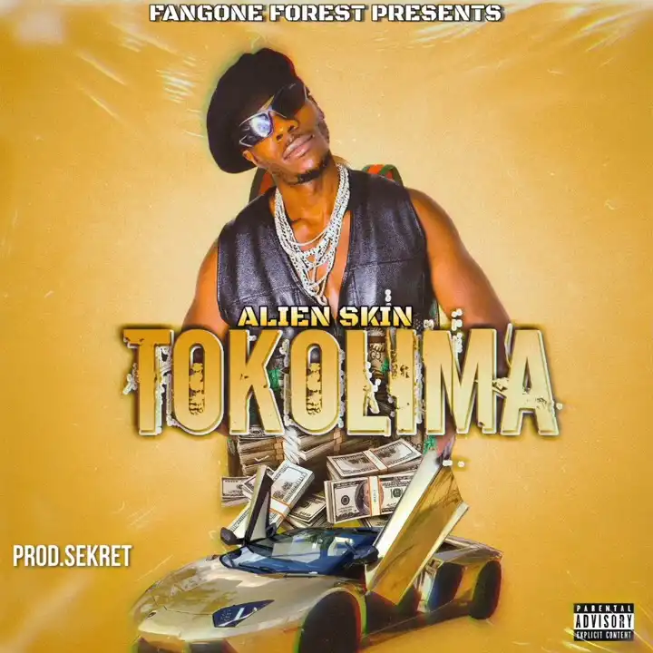 alien-skin-tokolima-album-cover