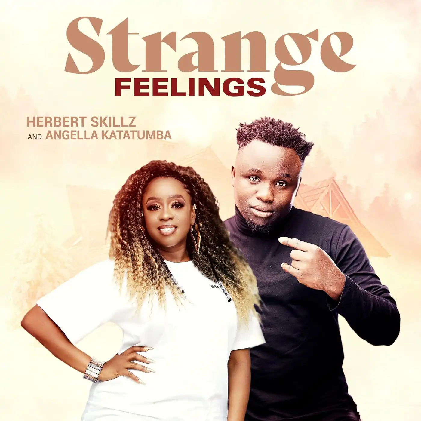 herbert-skillz-strange-feelings-album-cover