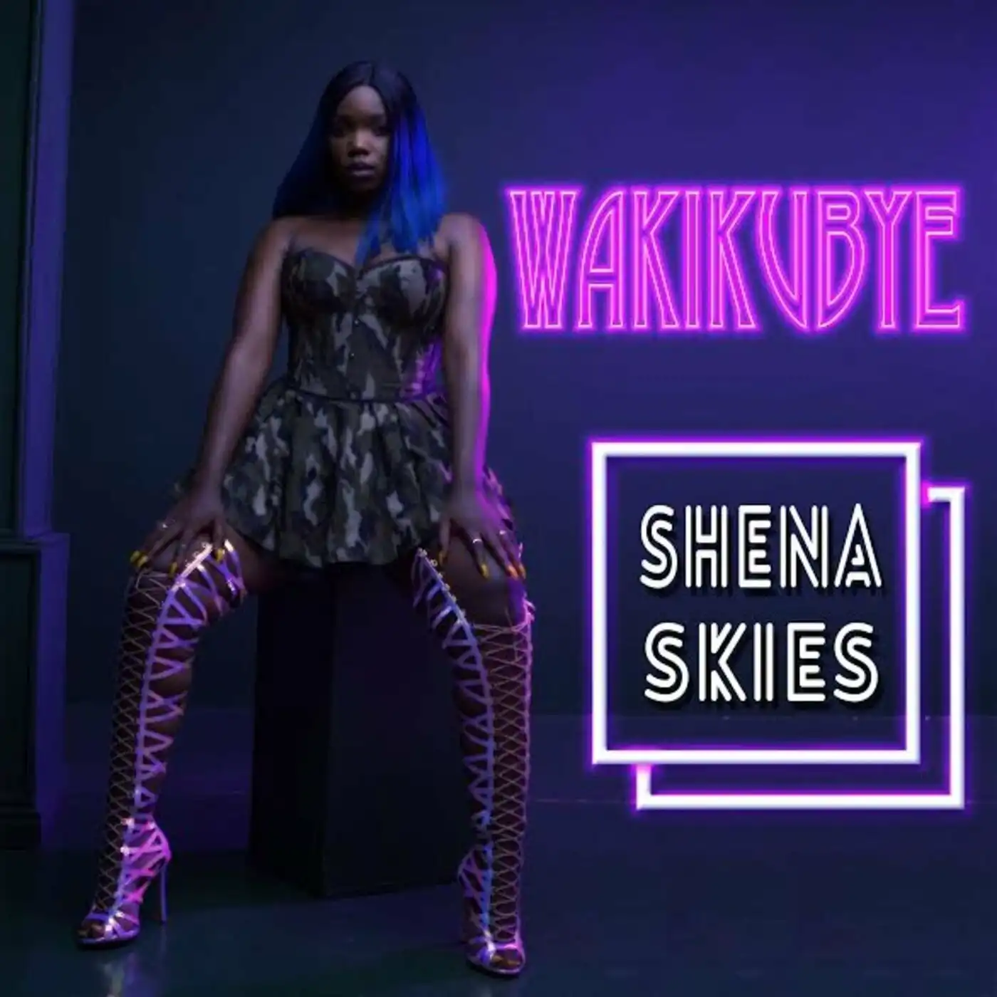 shena-skies-wakikubye-album-cover