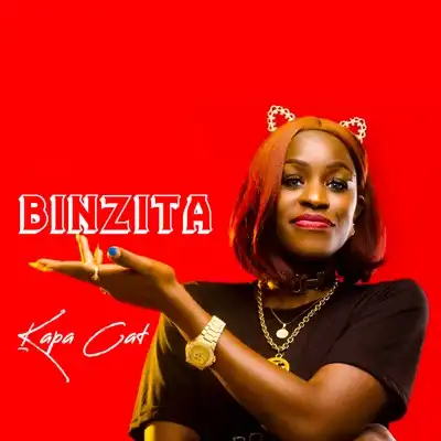 kapa-cat-binzita-album-cover