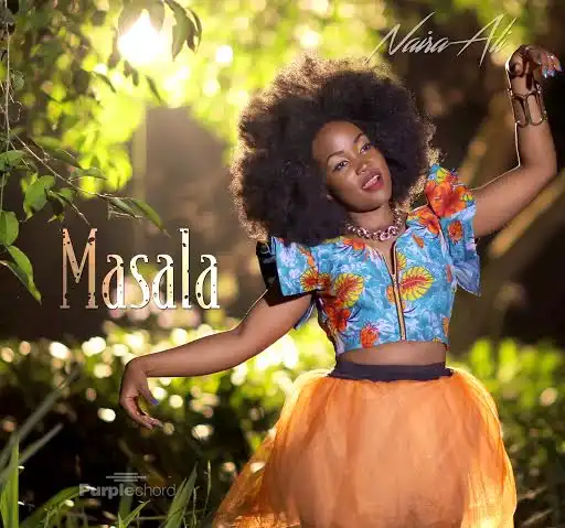 naira-ali-masala-album-cover