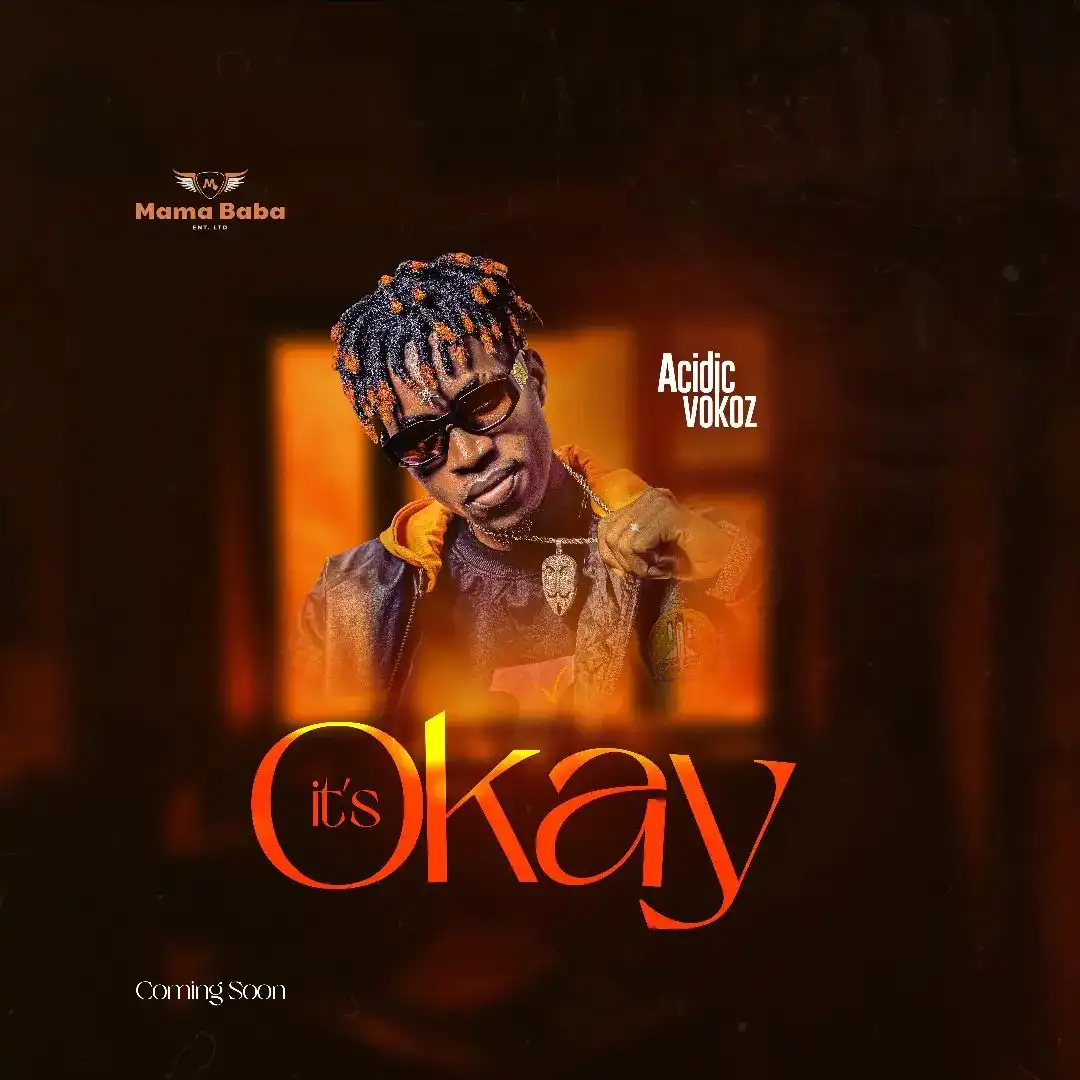 acidic-vokoz-its-okay-album-cover