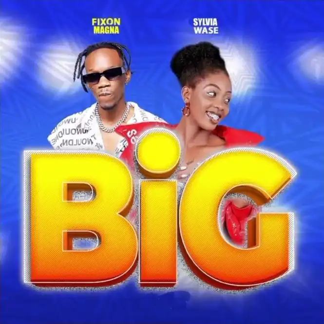 sylvia-wase-big-album-cover