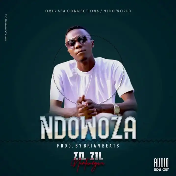 zil-zil-ndowoza-album-cover