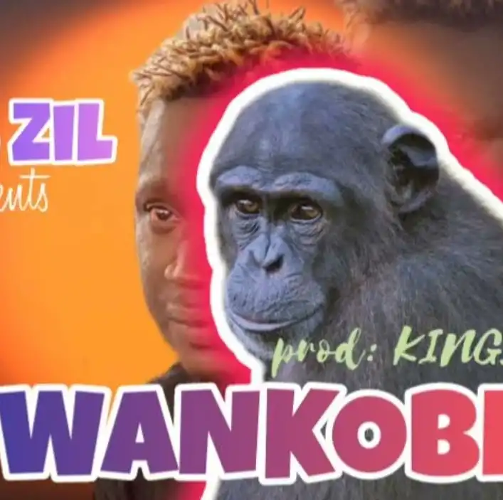 zil-zil-wankobe-album-cover