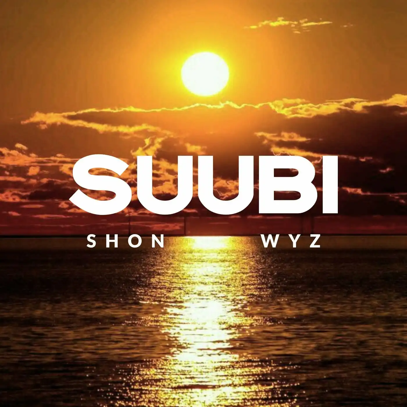 shon-wyz-suubi-album-cover