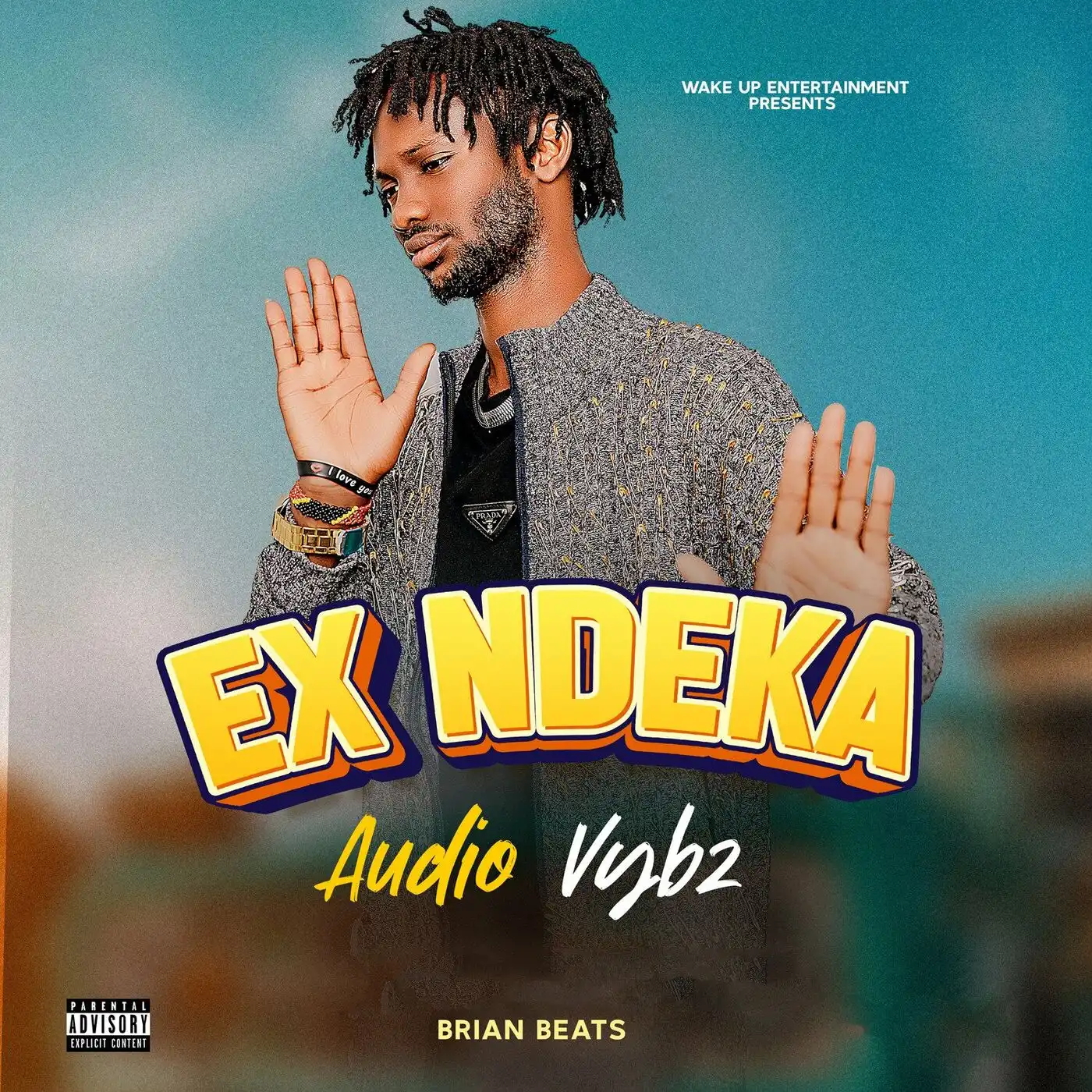 audio-vybz-ex-ndeka-album-cover