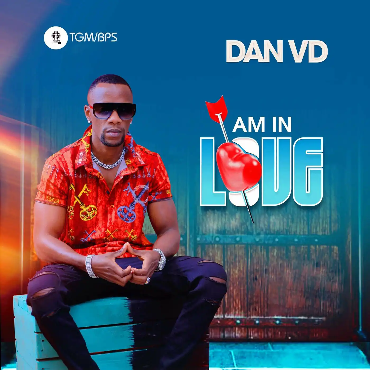 dan-vd-am-in-love-album-cover