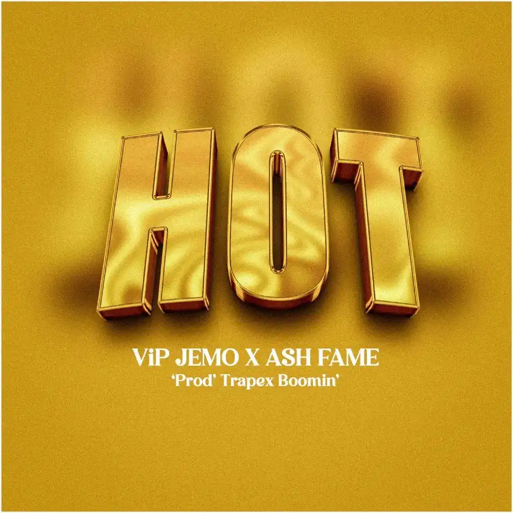 vip-jemo-am-hot-album-cover