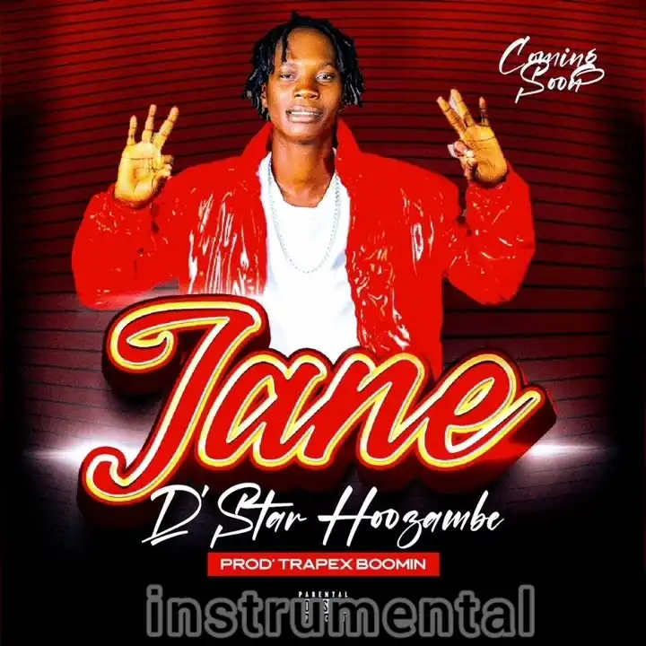 d-star-hoozambe-jane-album-cover