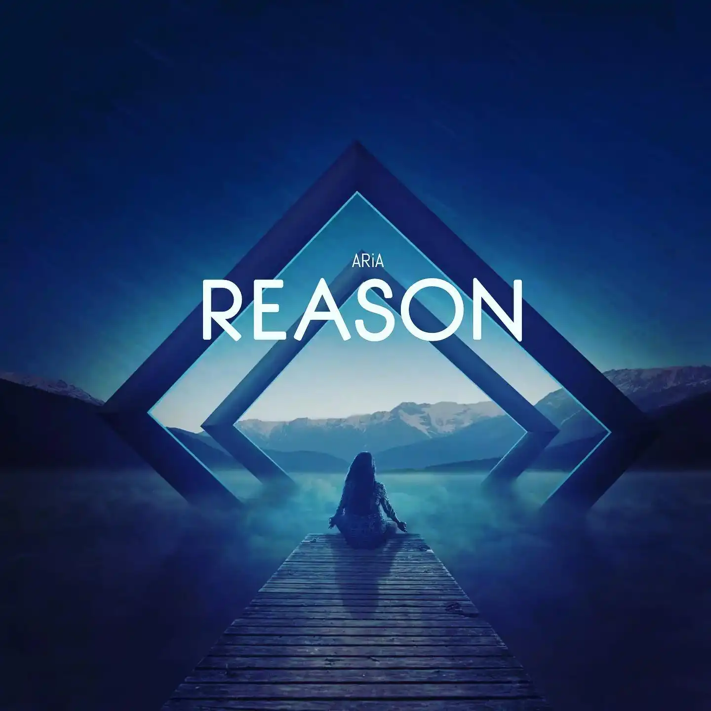 aria-reason-album-cover