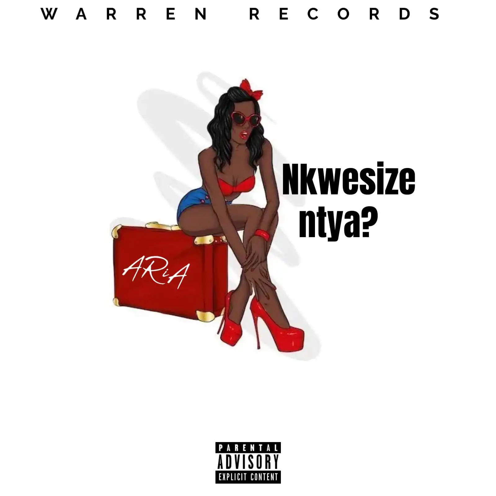 aria-nkwesize-ntya-album-cover