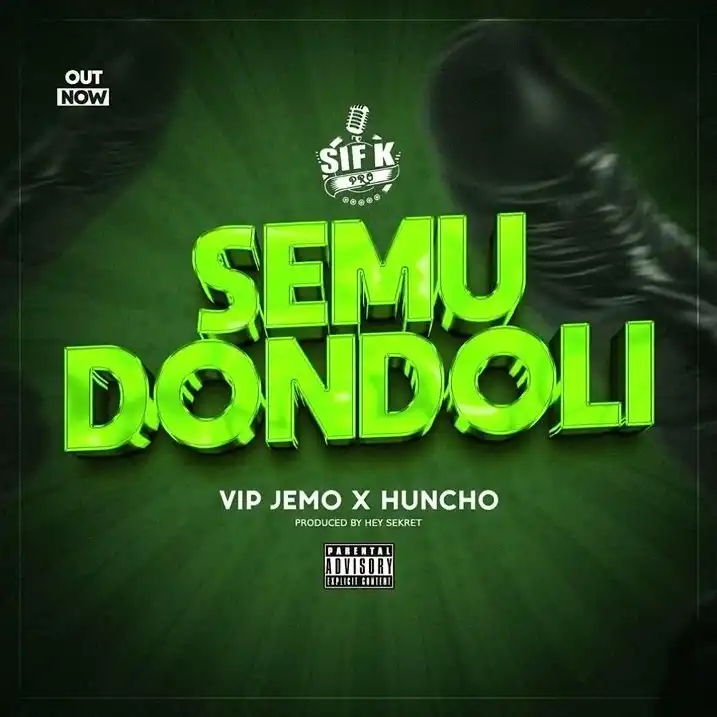 vip-jemo-semudondoli-album-cover