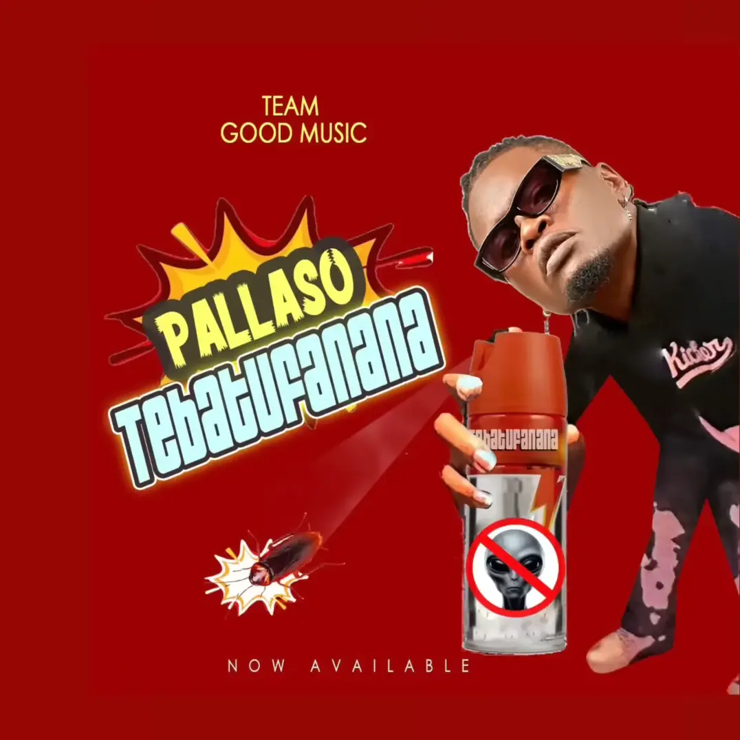 pallaso-tebatufanana-album-cover