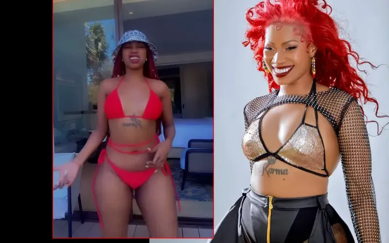 Sheebah Dispels Pregnancy Rumors with Skimpy Bikini Video