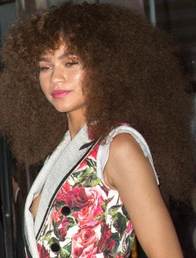 Zendaya Suffers Nip Slip at Met Gala after party